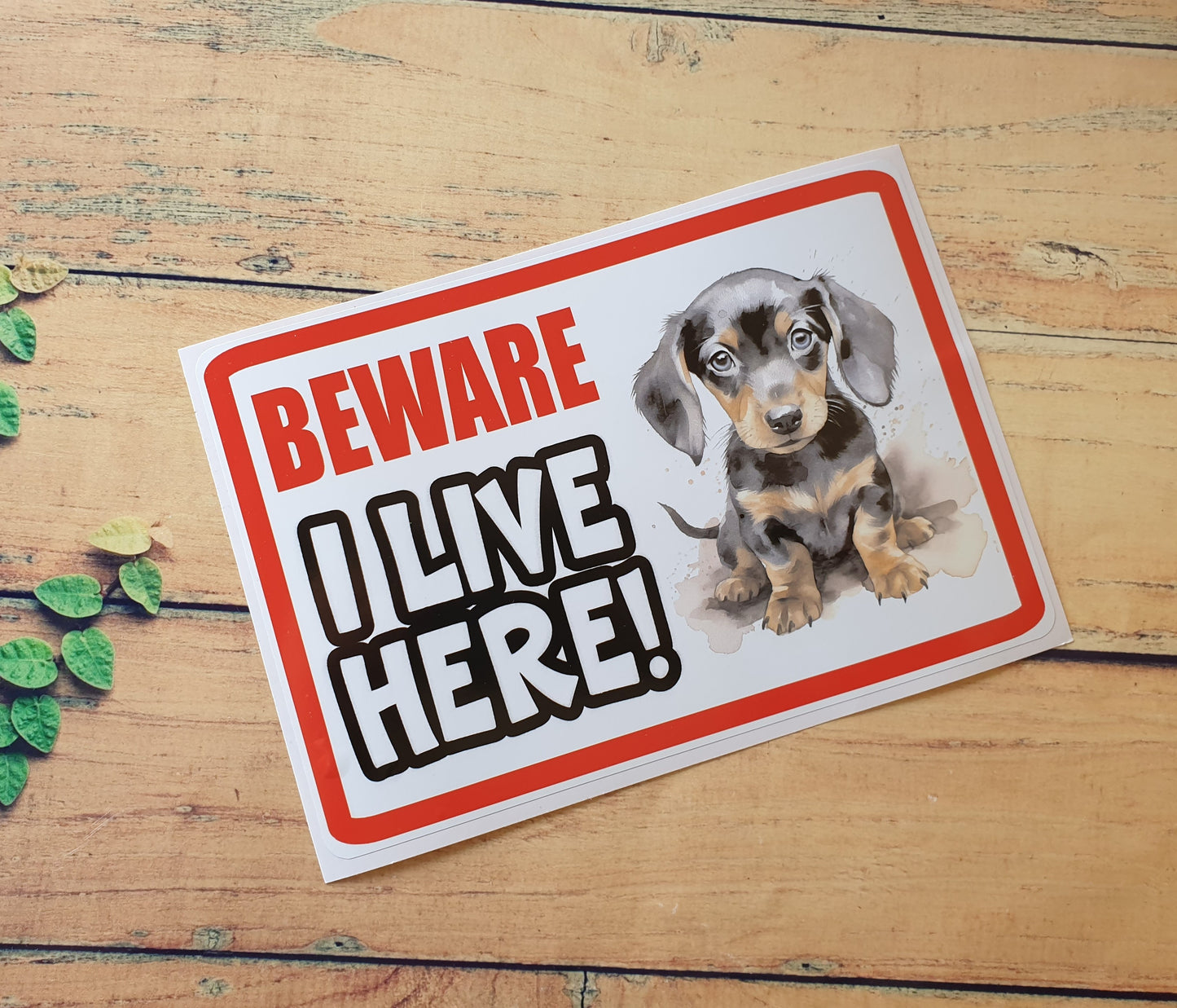 Dachshund Sticker - Beware I Live Here - Cute House Home Window Door Porch Dog Warning Decal