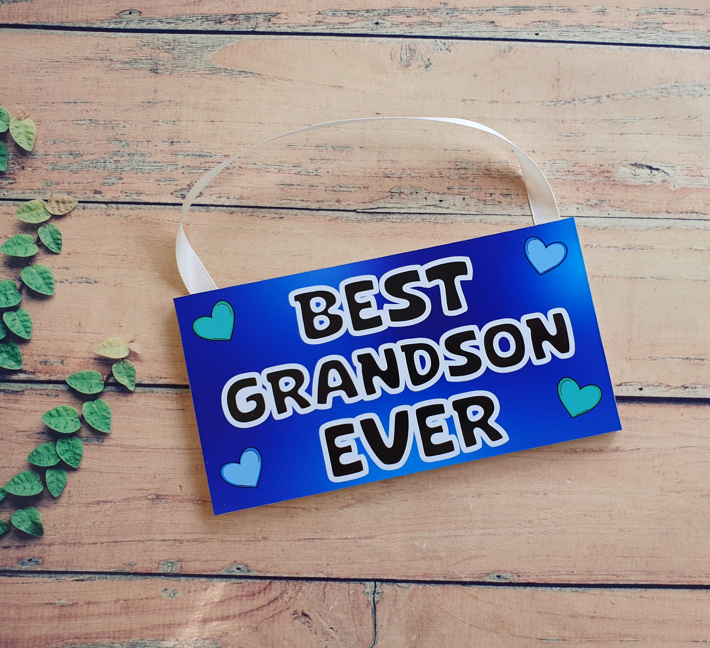 Grandson Plaque / Sign Gift - Best Grandson Ever - Novelty Cute Fun Family Present