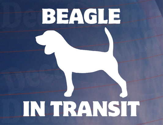 Car Sticker Beagle In Transit Nice Fun Cute Novelty Warning Van Window Bumper Boot Door Decal