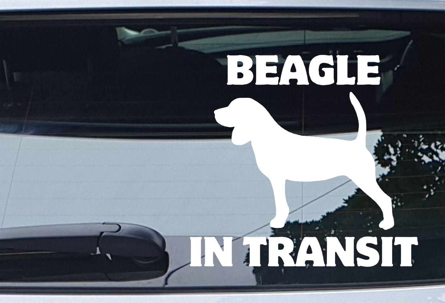 Car Sticker Beagle In Transit Nice Fun Cute Novelty Warning Van Window Bumper Boot Door Decal