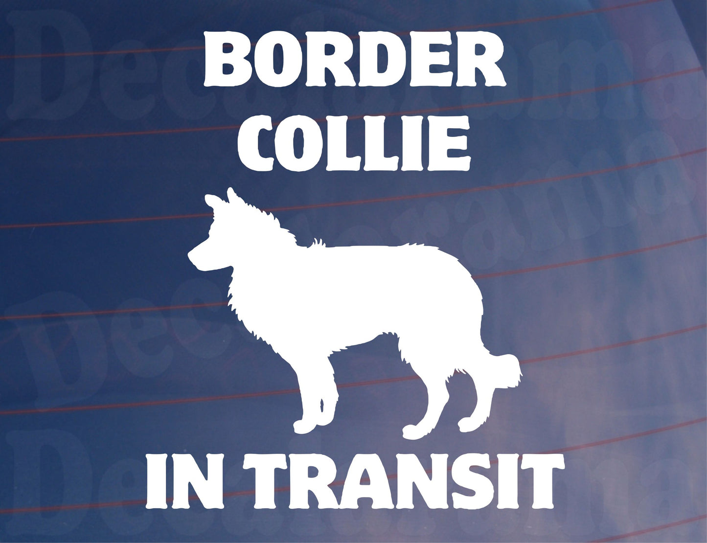 Car Sticker Border Collie In Transit Nice Fun Cute Novelty Warning Van Window Bumper Boot Door Decal