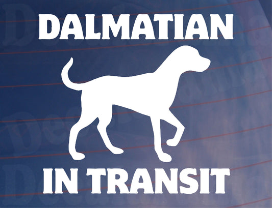 Car Sticker Dalmatian In Transit Nice Fun Cute Novelty Warning Van Window Bumper Boot Door Decal