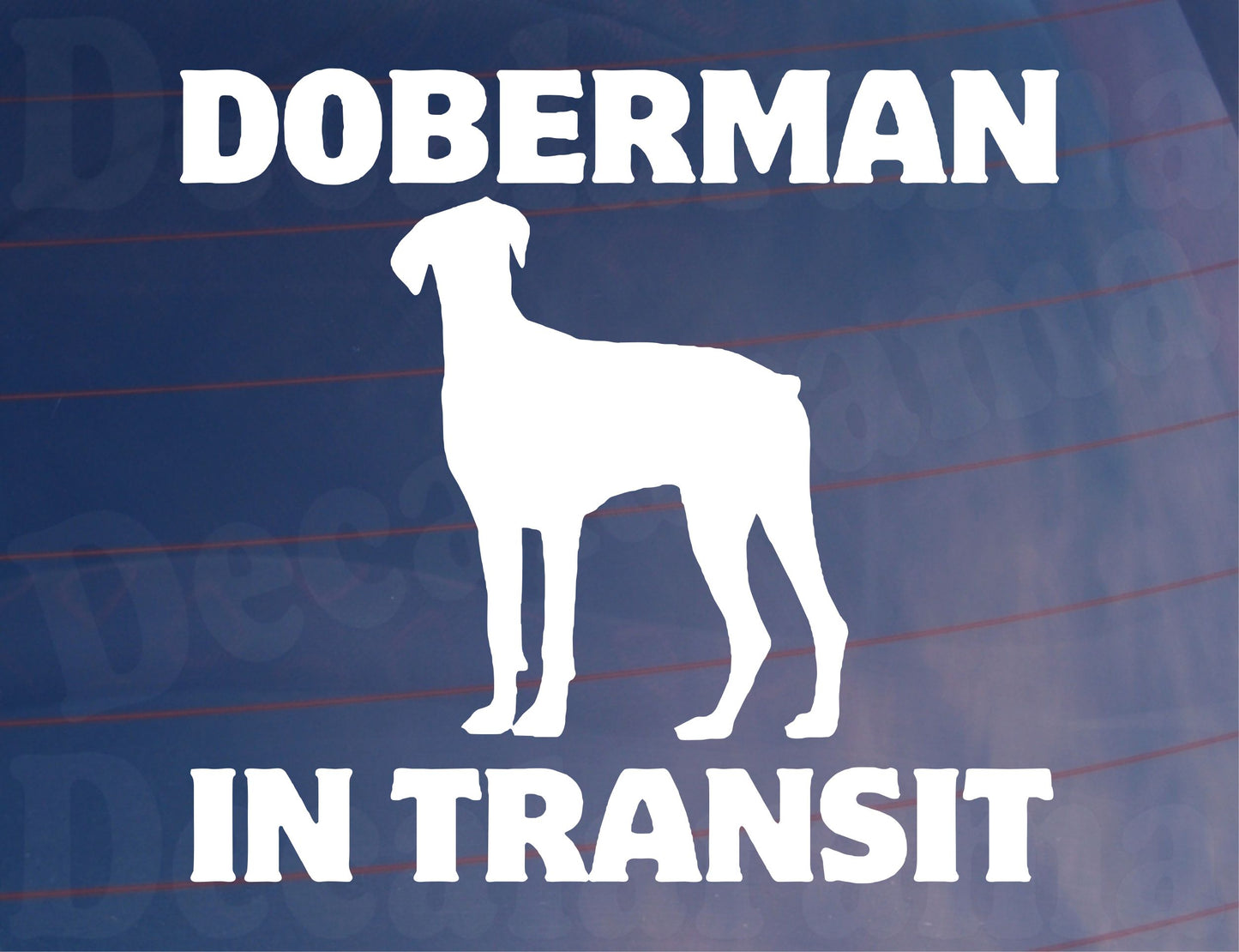 Car Sticker Doberman In Transit Nice Fun Cute Novelty Warning Van Window Bumper Boot Door Decal