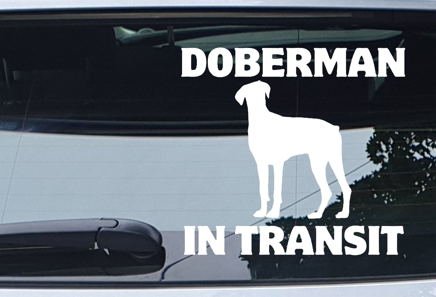 Car Sticker Doberman In Transit Nice Fun Cute Novelty Warning Van Window Bumper Boot Door Decal