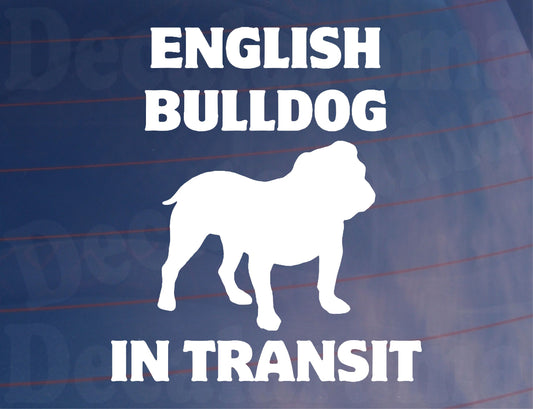 Car Sticker English Bulldog In Transit Nice Fun Cute Novelty Warning Van Window Bumper Boot Door Decal