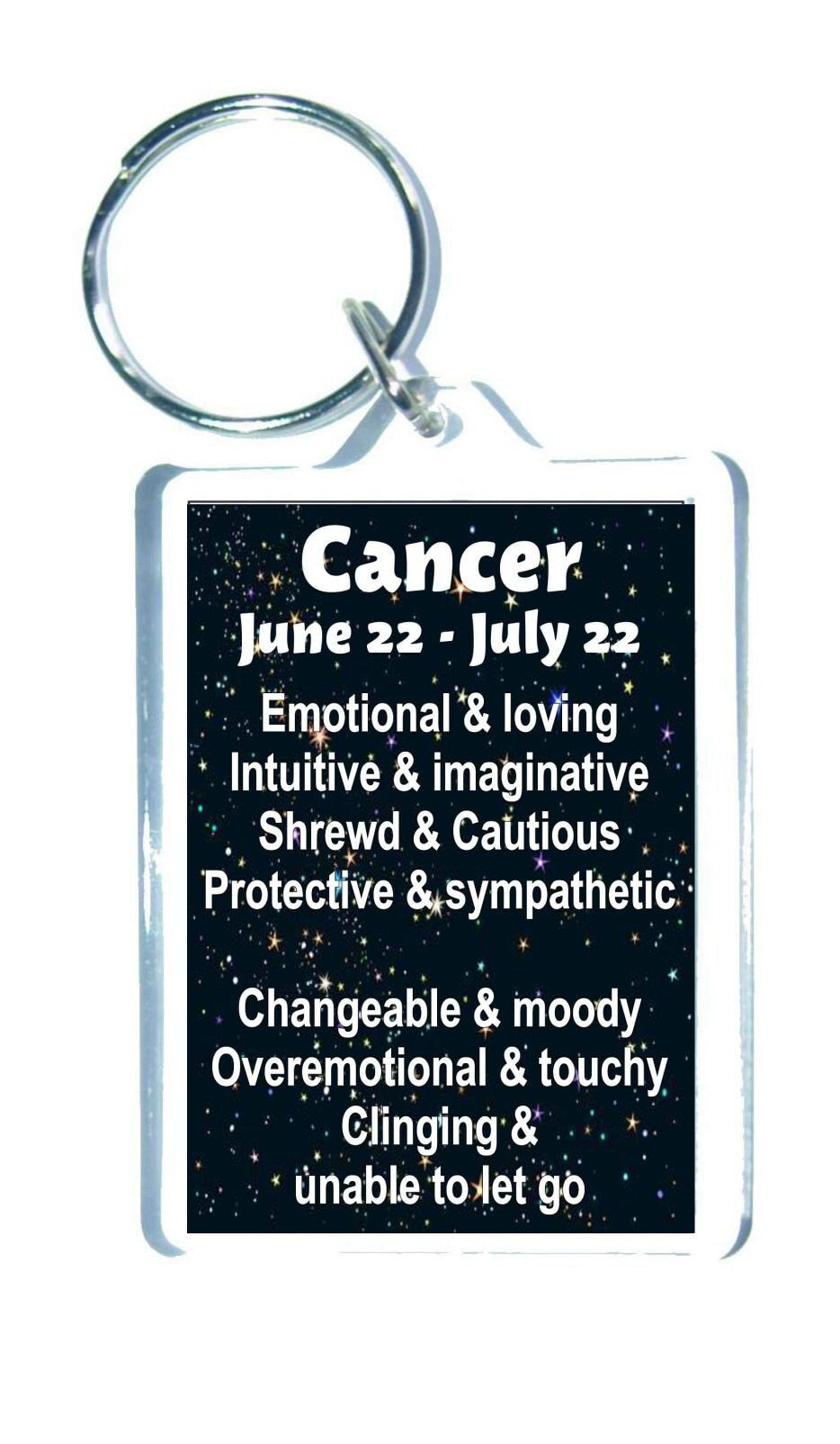 Cancer Star Sign Keyring Gift - Astrology Zodiac Novelty Fun Key Chain Cute Present