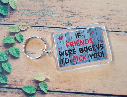 Friend Keyring - If Friends Were Bogeys I'd Pick You - Fun Rude Cute Cheeky Present Sadnick Gifts